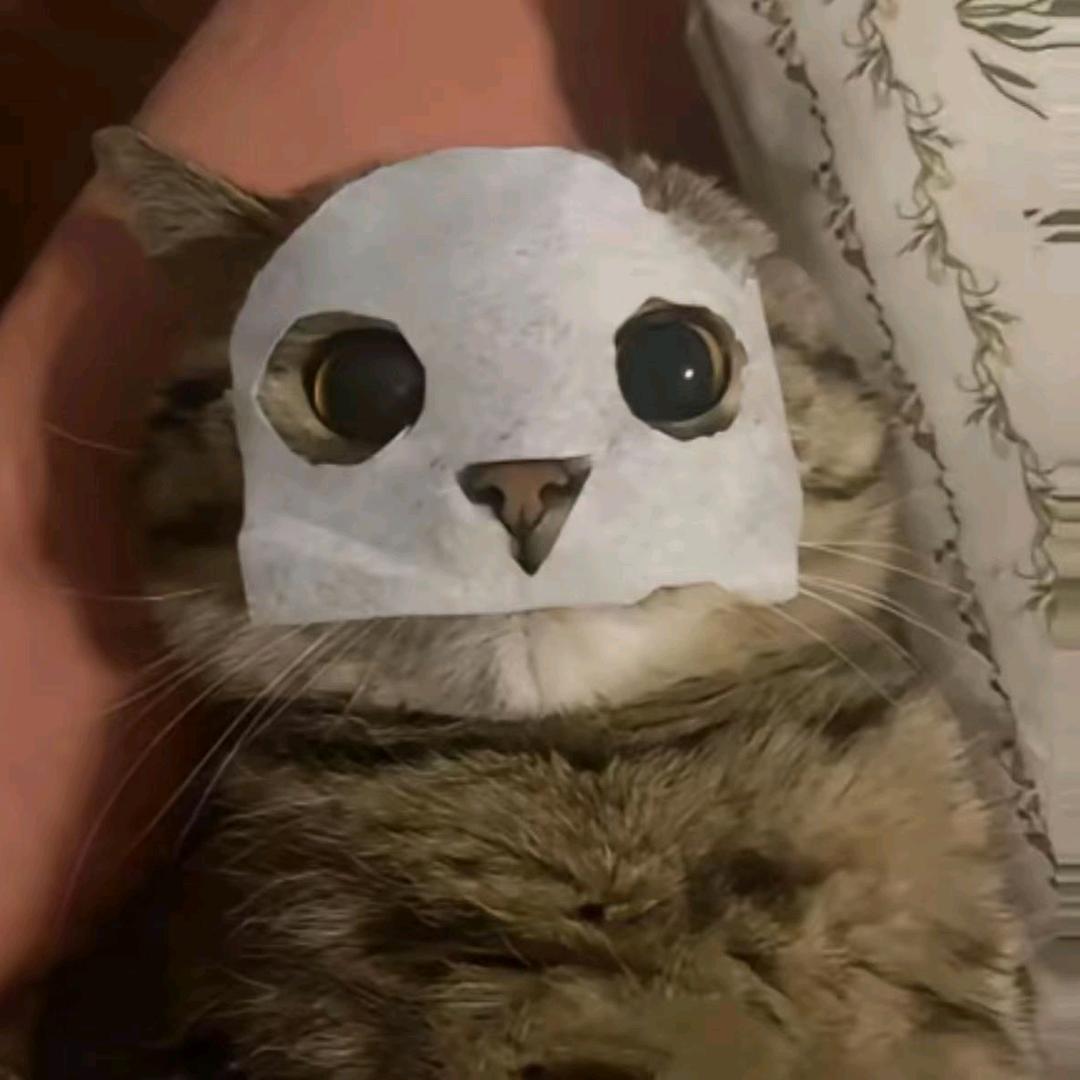 小镇朝阳