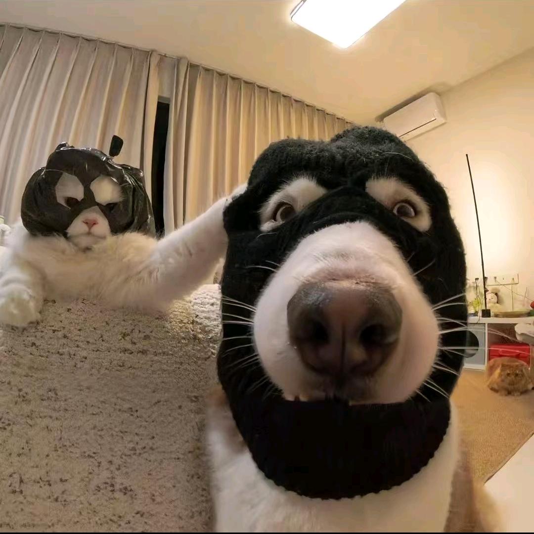 叫