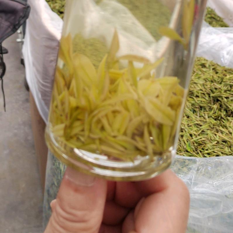 喝杯绿茶静静