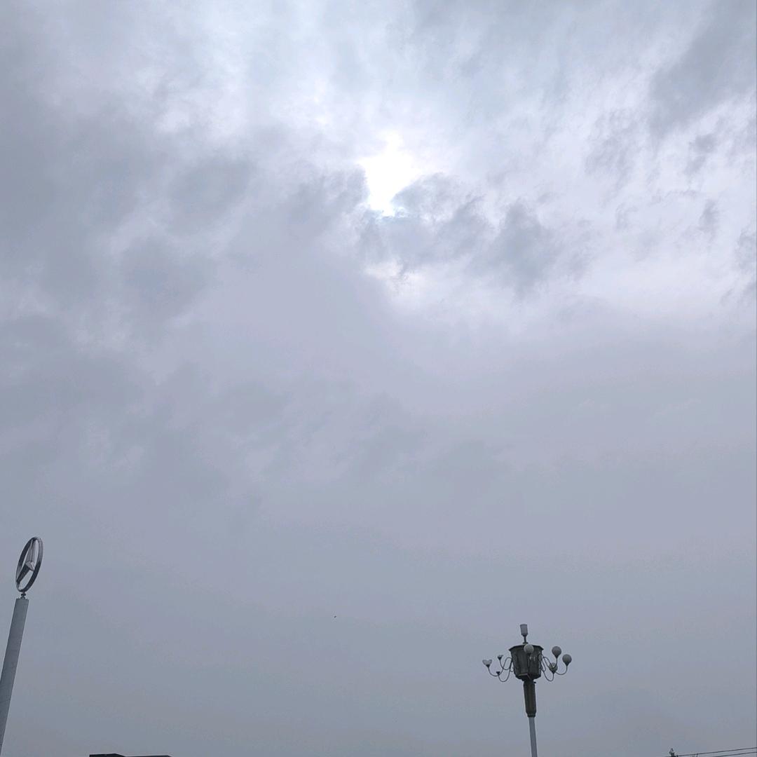 羽佳翟的翟
