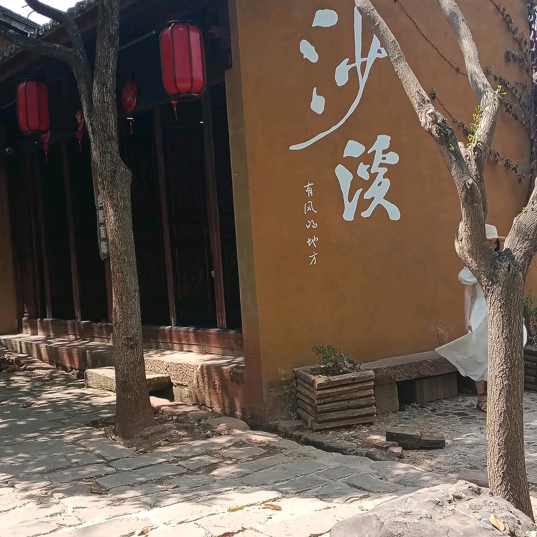 鼠猪宝