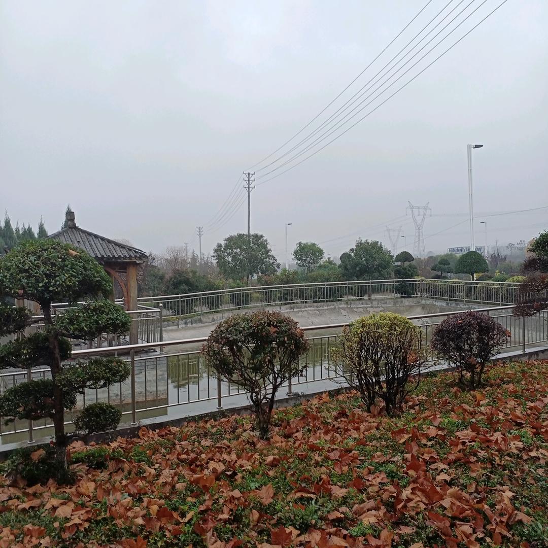 春春暖花开