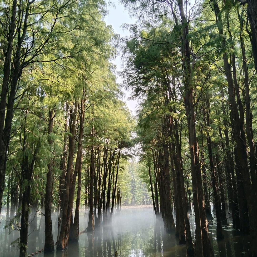 馬晓怡