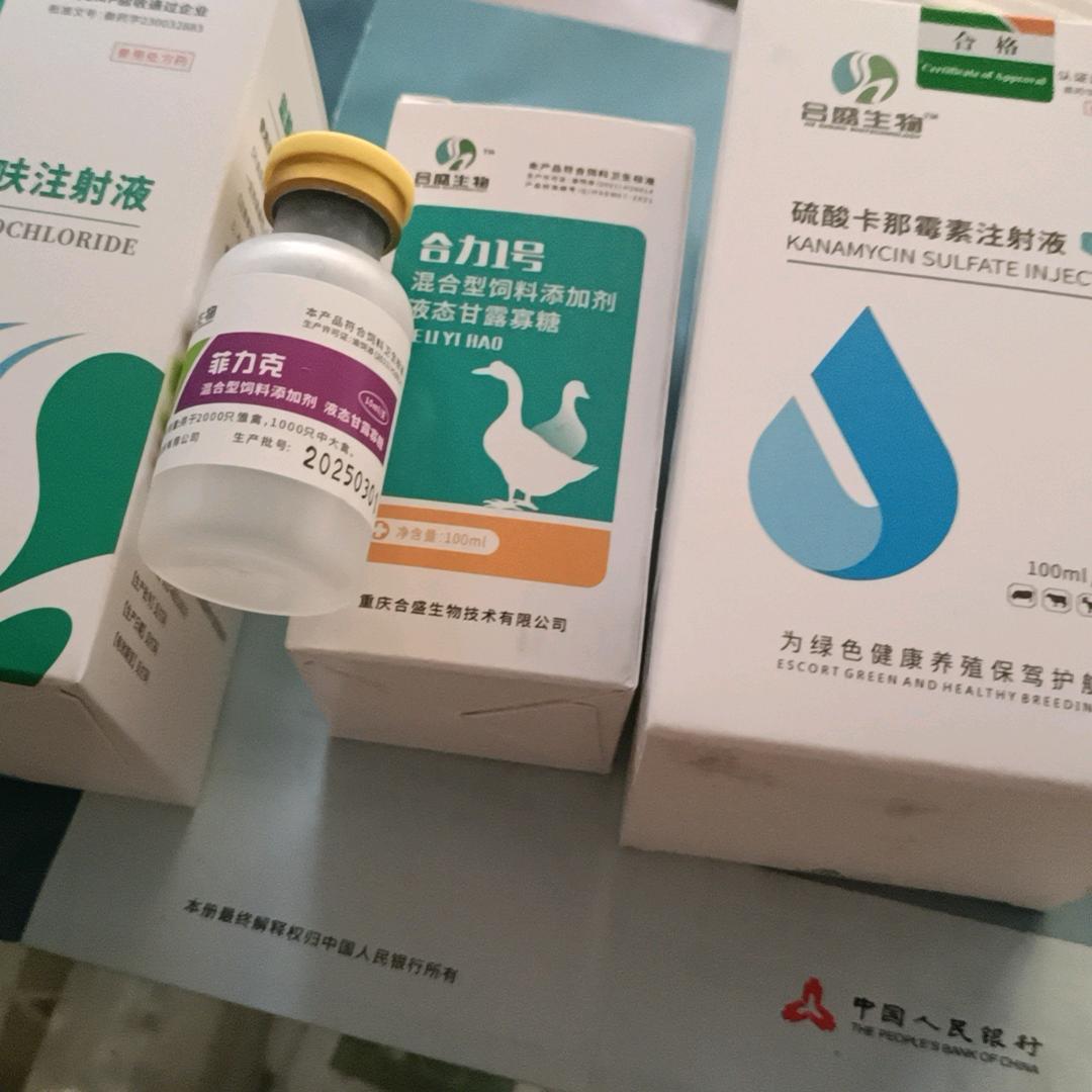 隆昌肖大姐、