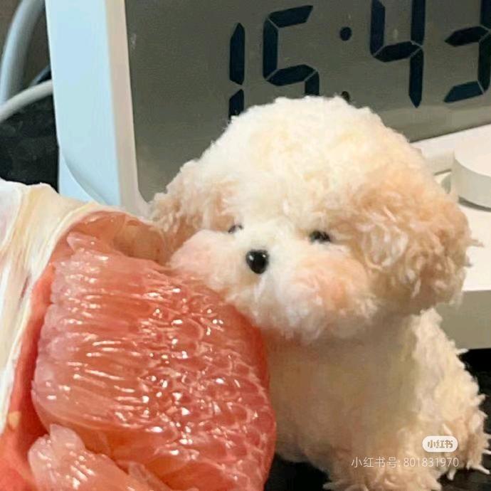 小杨今天瘦了