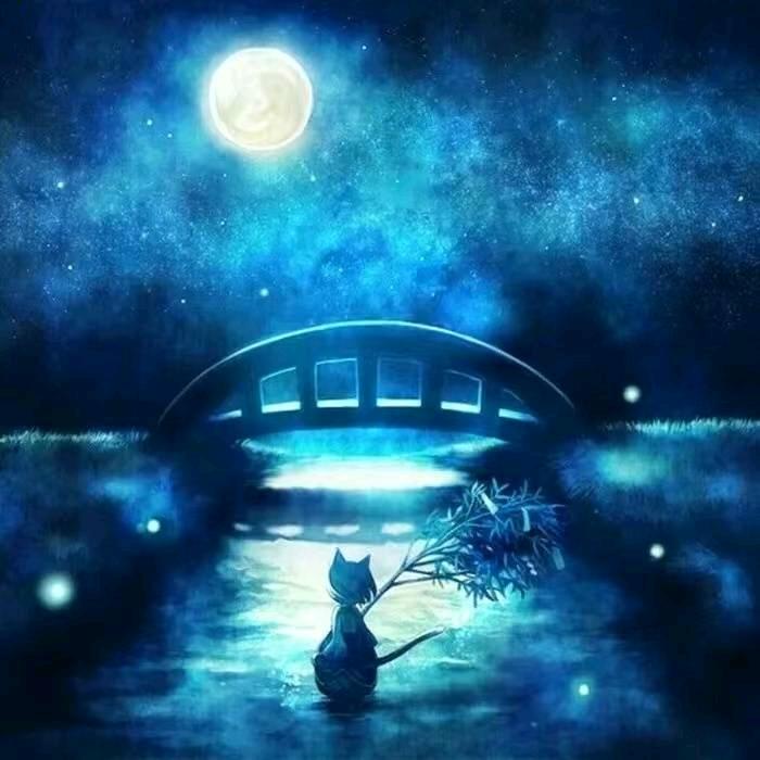落痕星辰