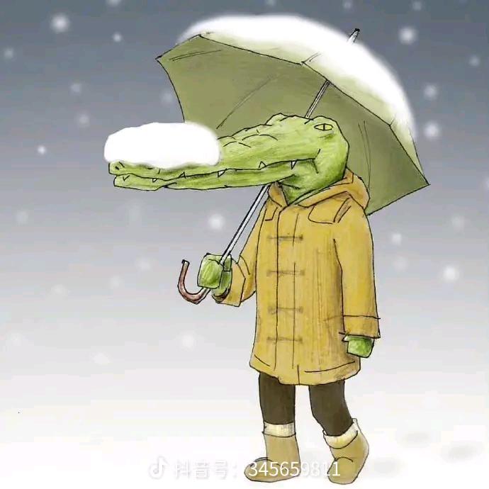 鳄鱼小姐的烦恼