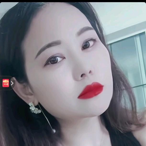 小燕子（安徽六安）