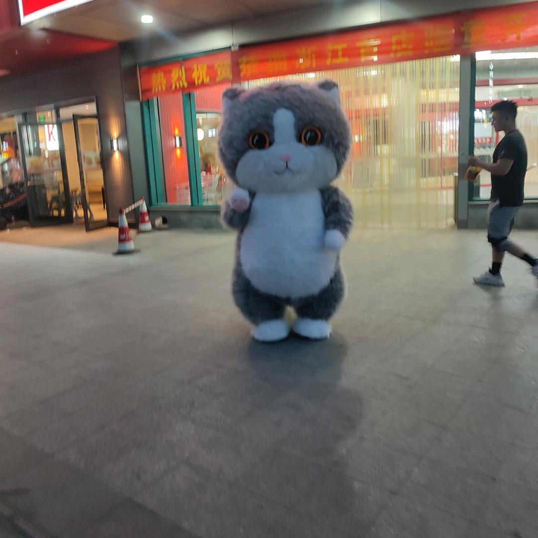 彭小姐  佤族黑珍珠。