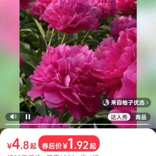 三十二号我休息