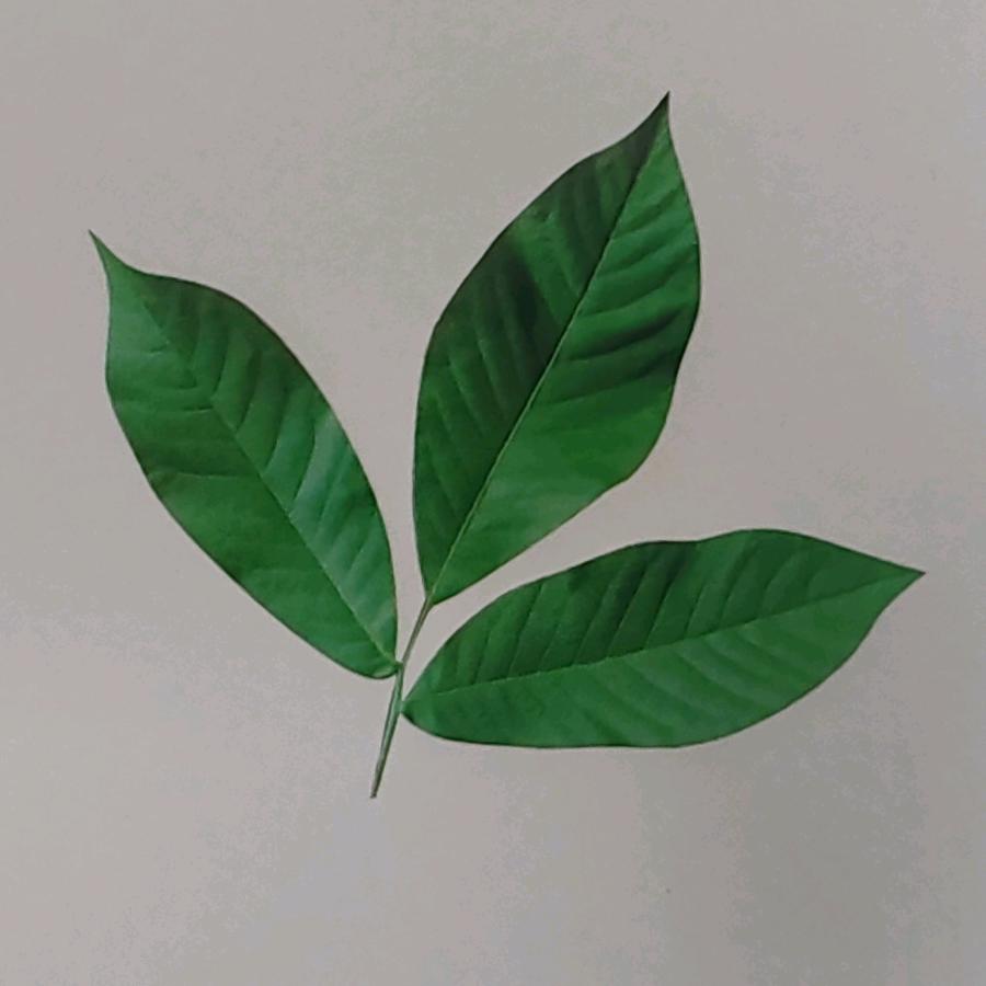 北京安生源生物科技有限公司