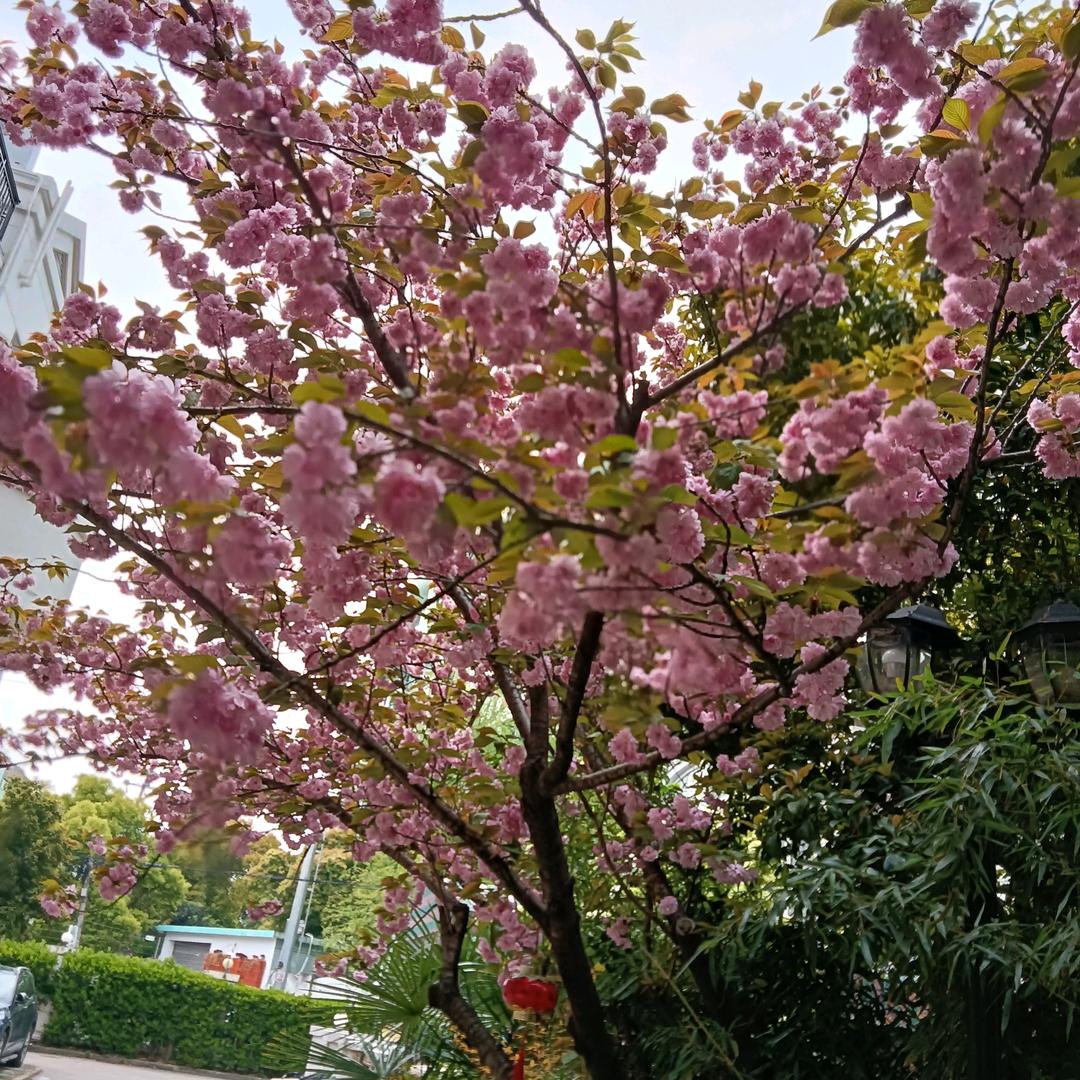 上海市方元拆除工程有限公司