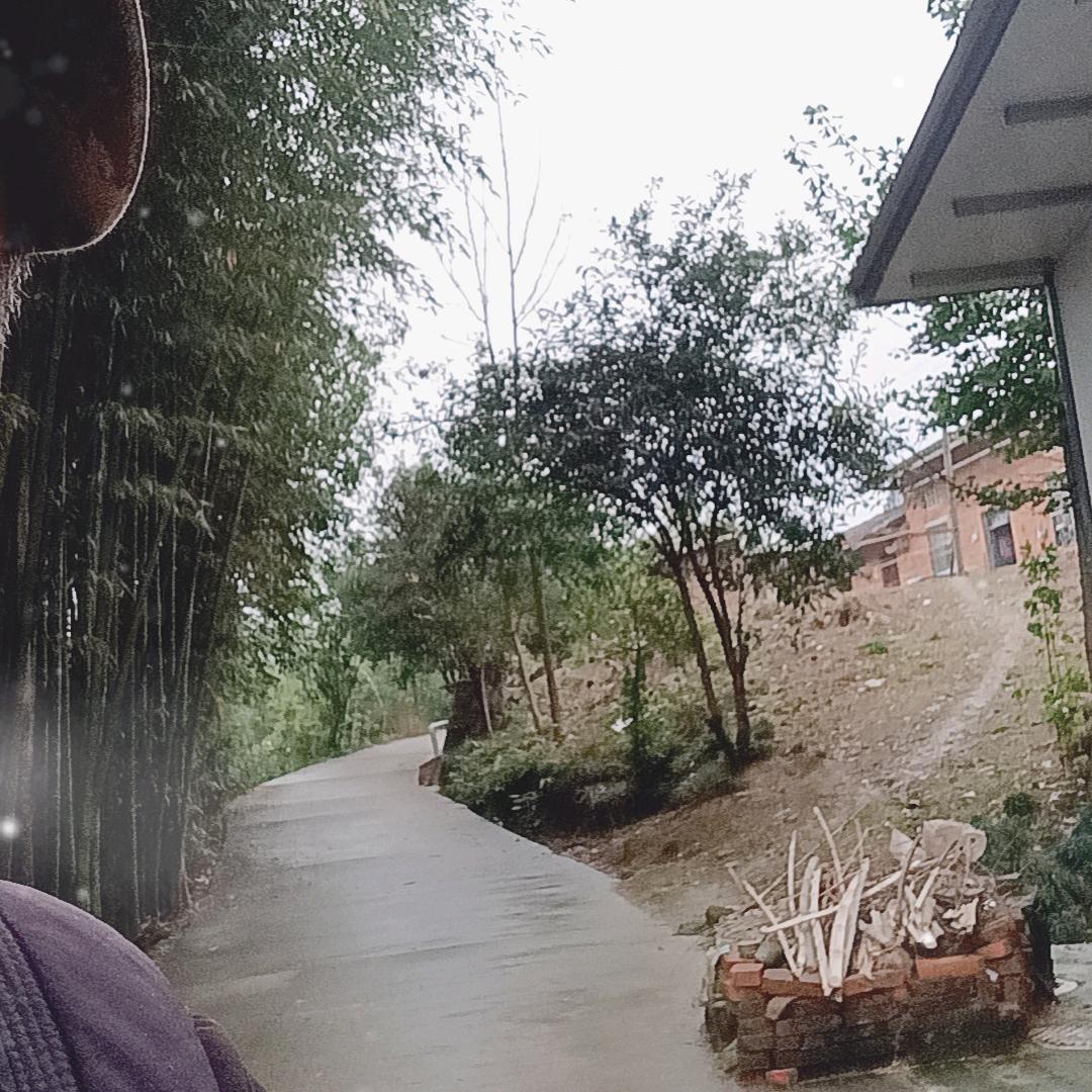 山青水秀