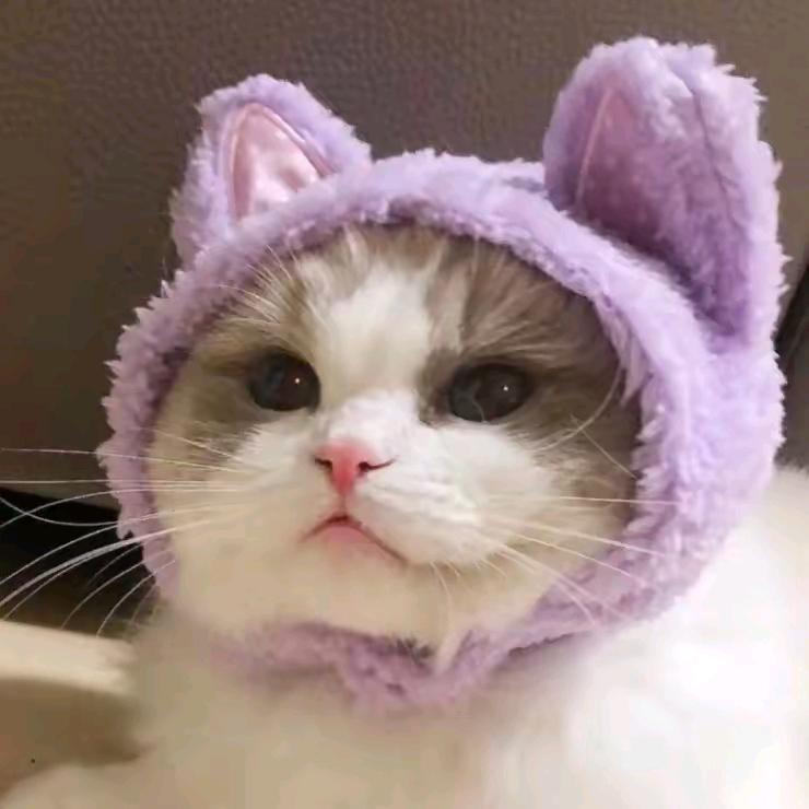 超级可爱朵朵