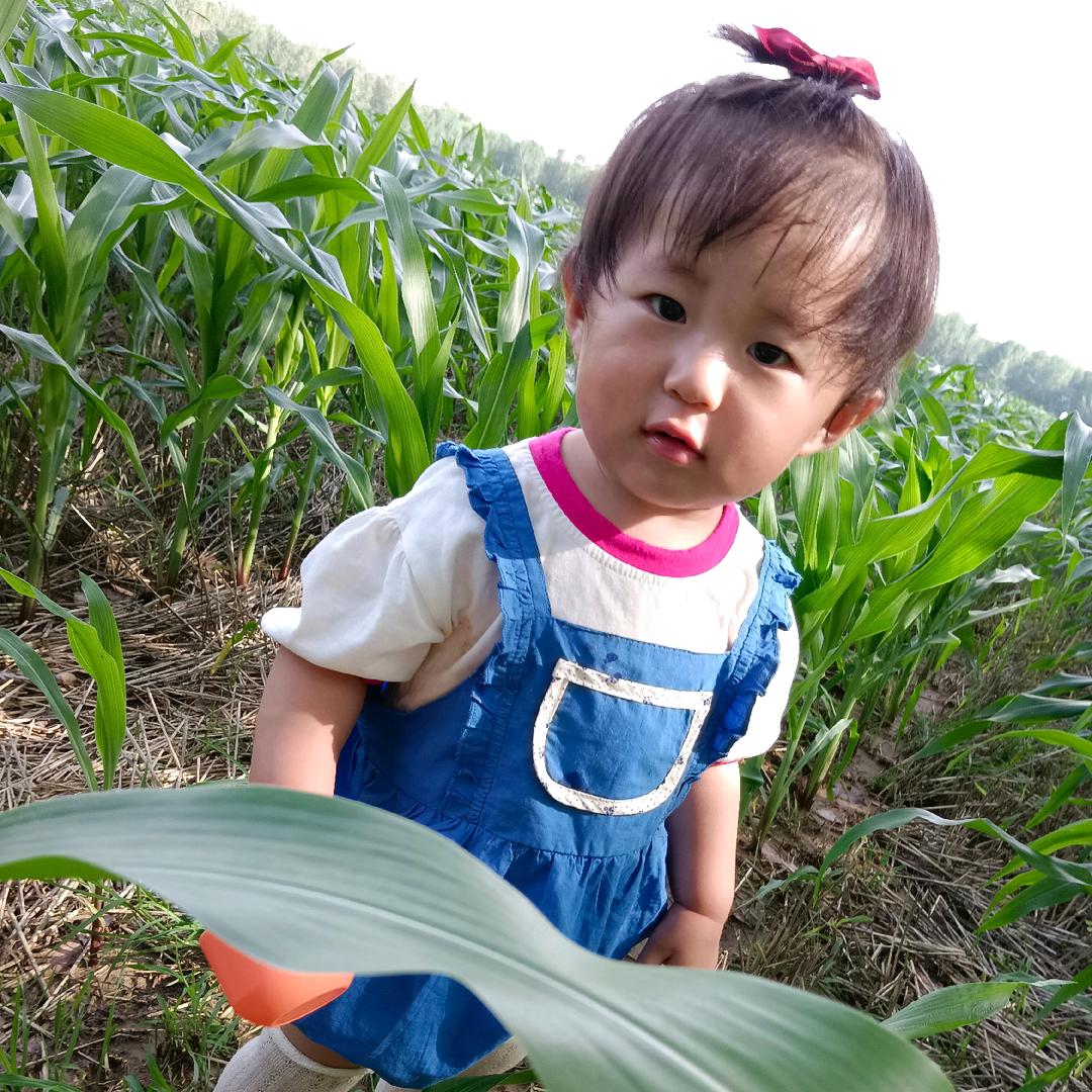 爱跳舞小茉