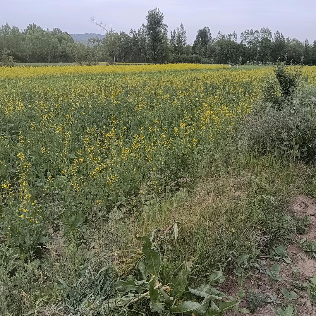 顺发前行48567824