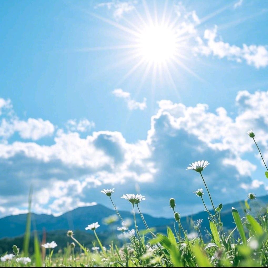 老王深圳买房记