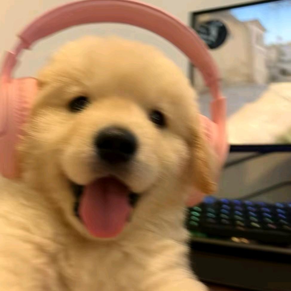 蜡笔不小心🙉