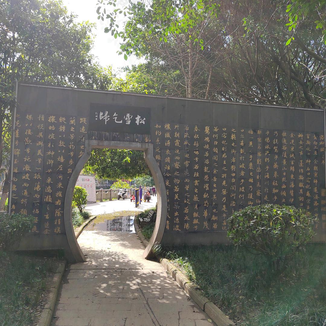 没有靠山的女人