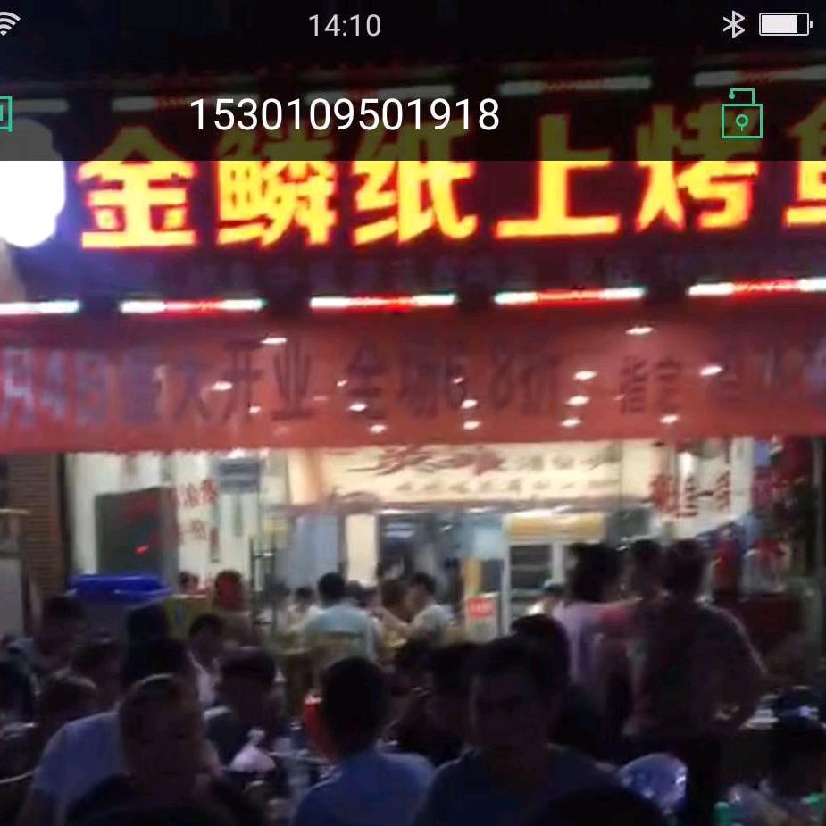 金鳞纸上烤鱼广安