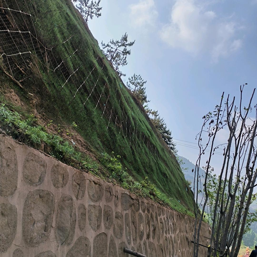 AA