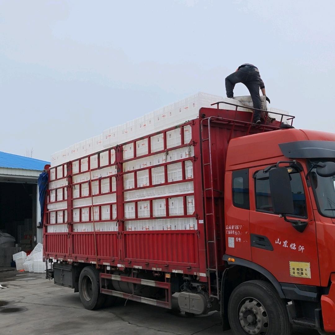 临沂市兰山区星宇塑料加工厂