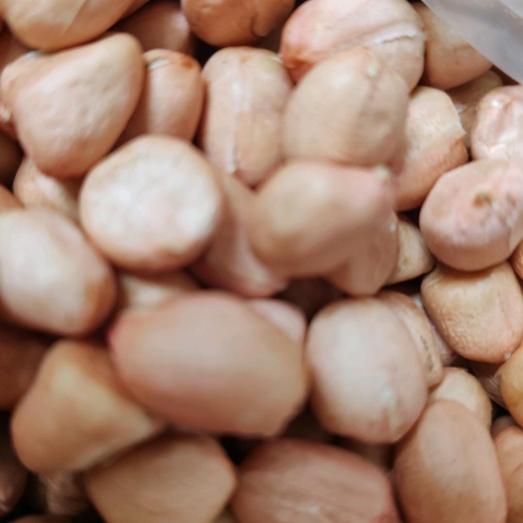 唐老板瓜子宠粉号