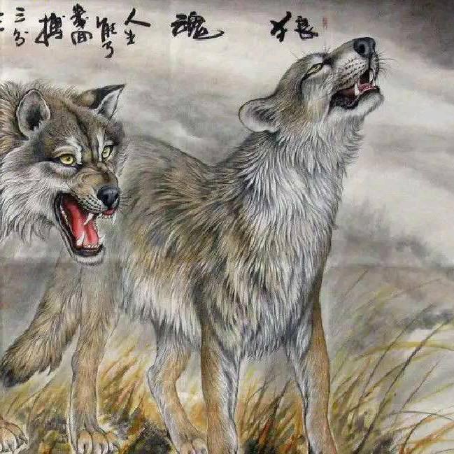 如狼似虎