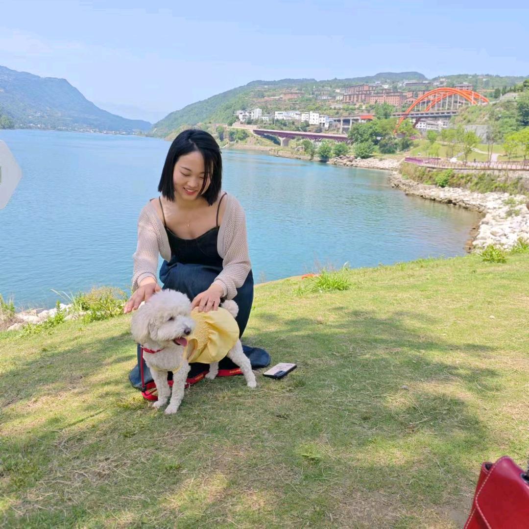 清晨的小鹿°