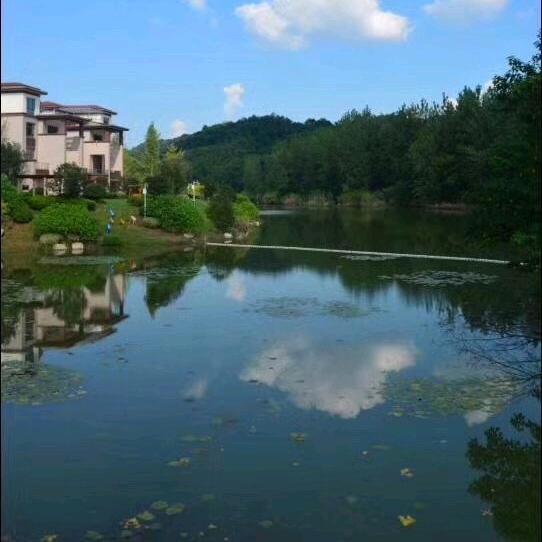 李  哥
