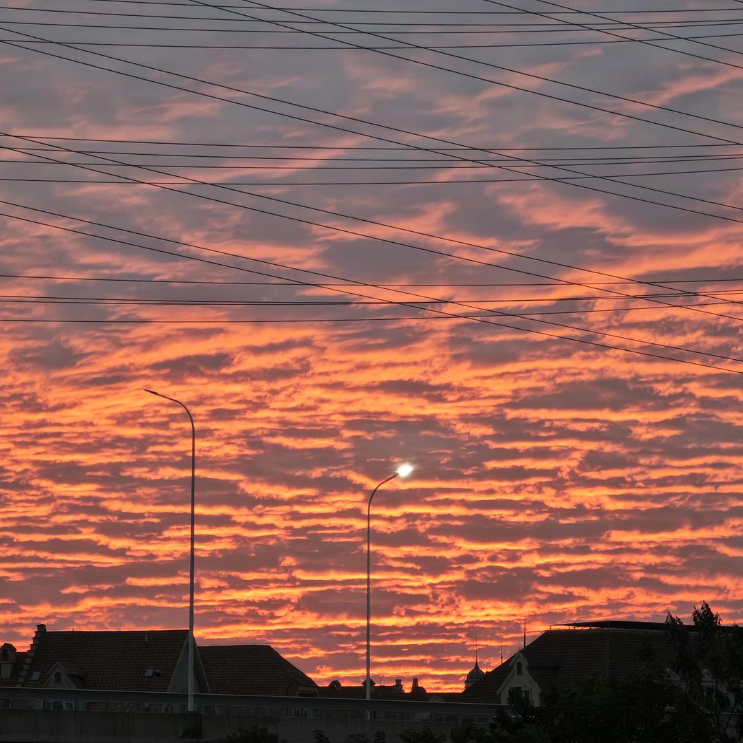 金喵子和宋喵喵