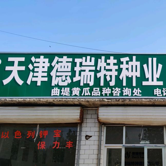 济南商河德瑞特种苗有限公司