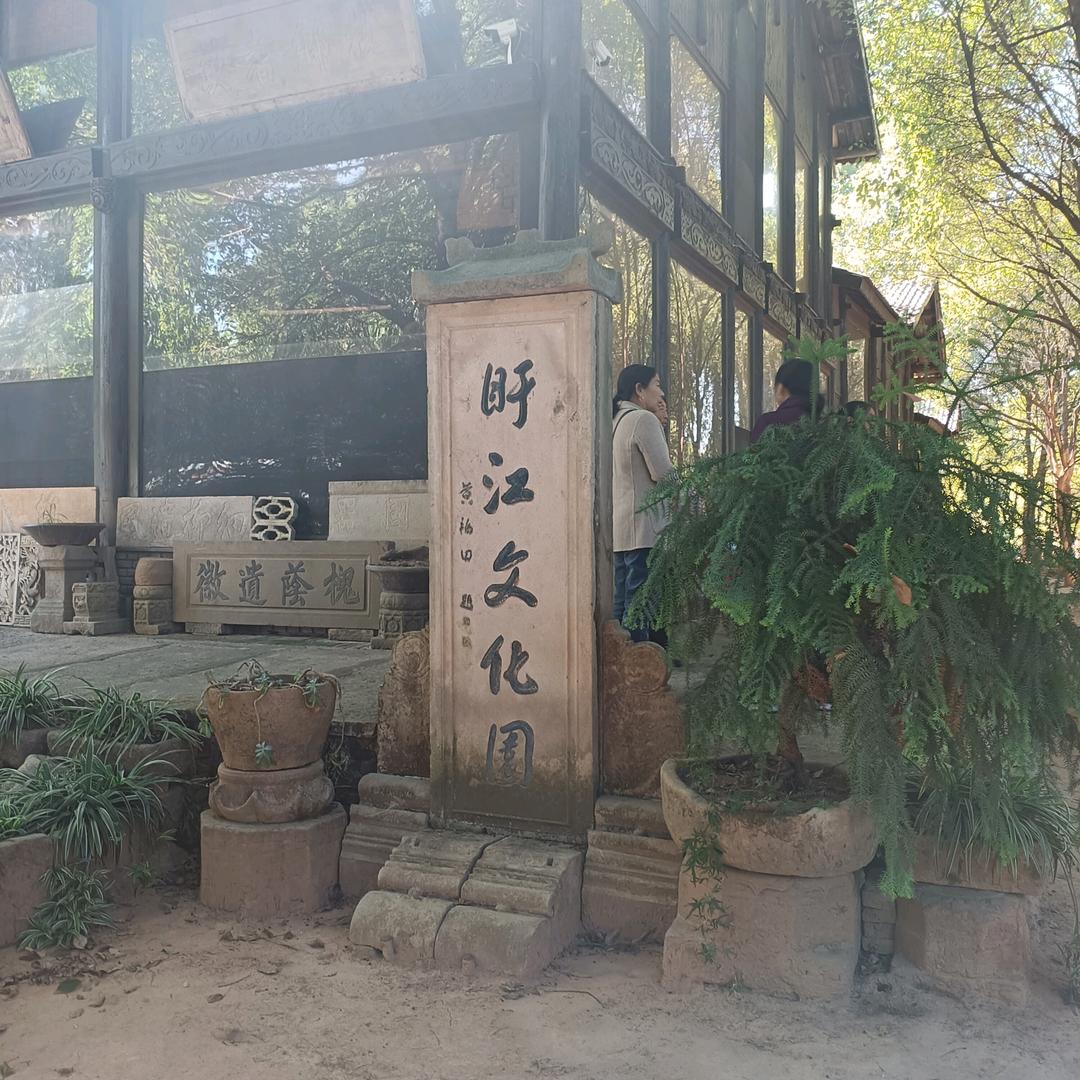 红🍁叶