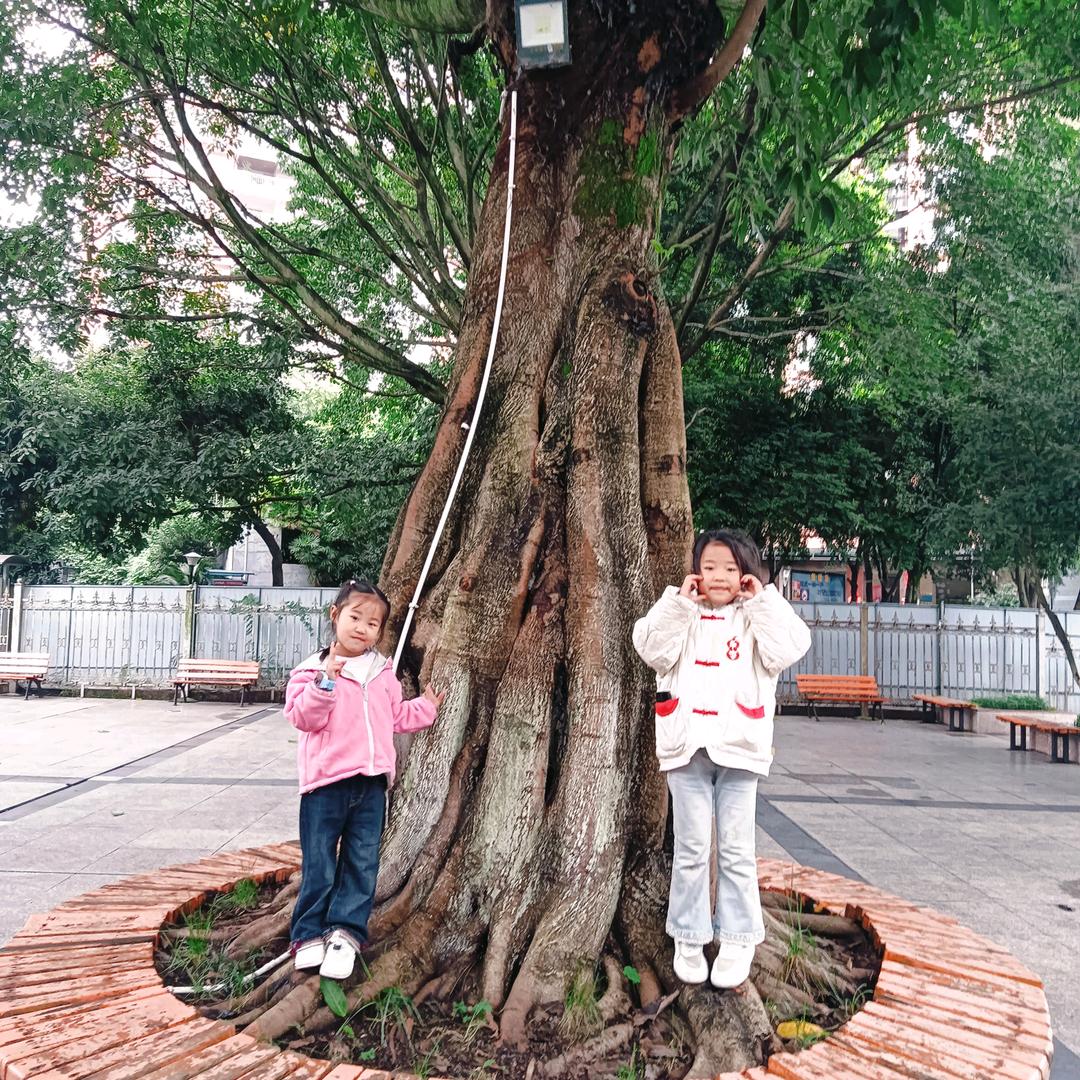 狼🐺王~@单亲爸爸~#