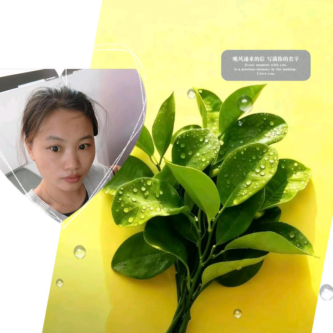 ৡ凤้้ꦿ᭄࿐