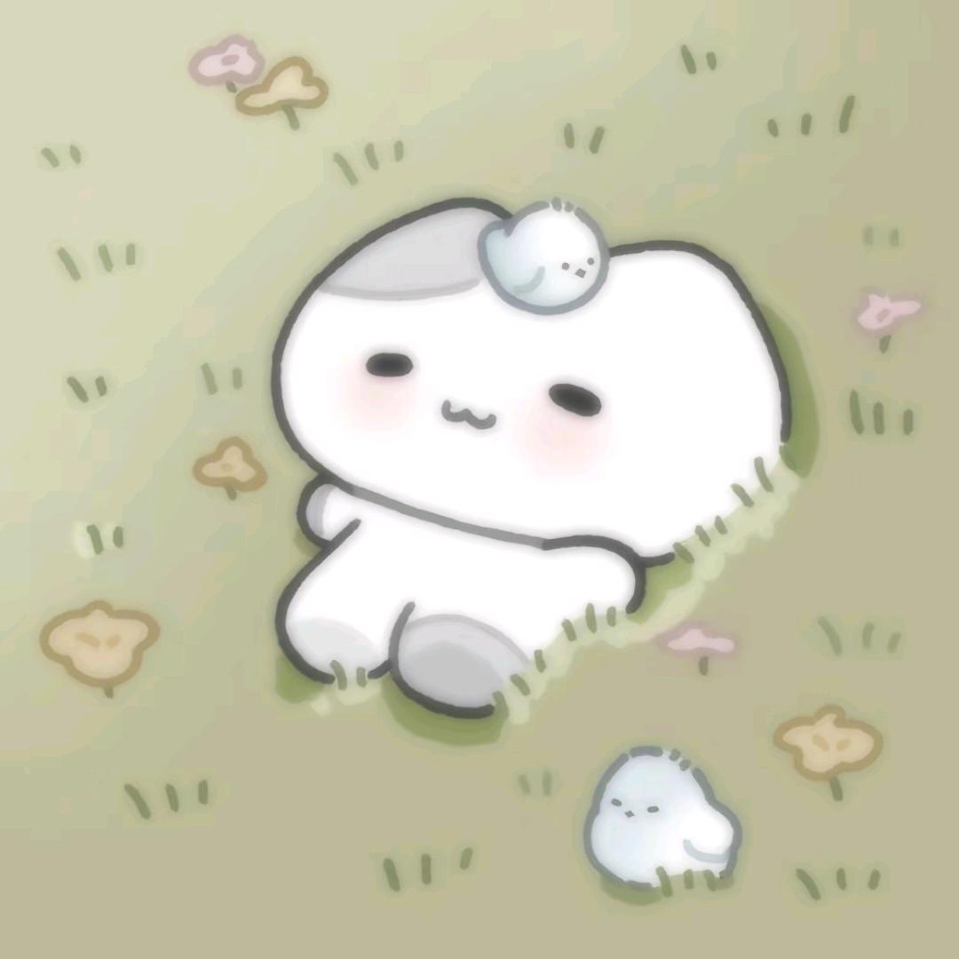 章鱼小肉丸