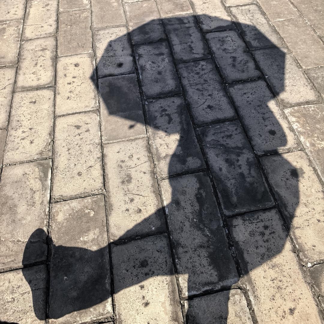 【我有一只猫咪…