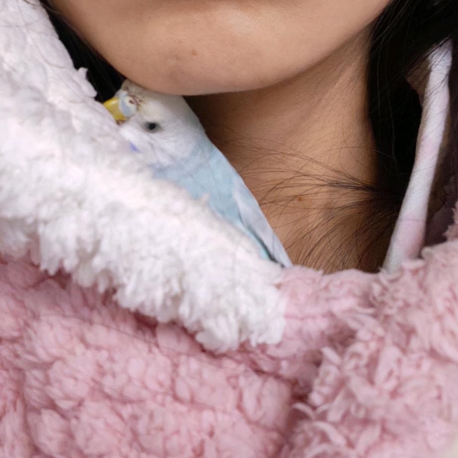 杜子腾🦜🦜🦜…