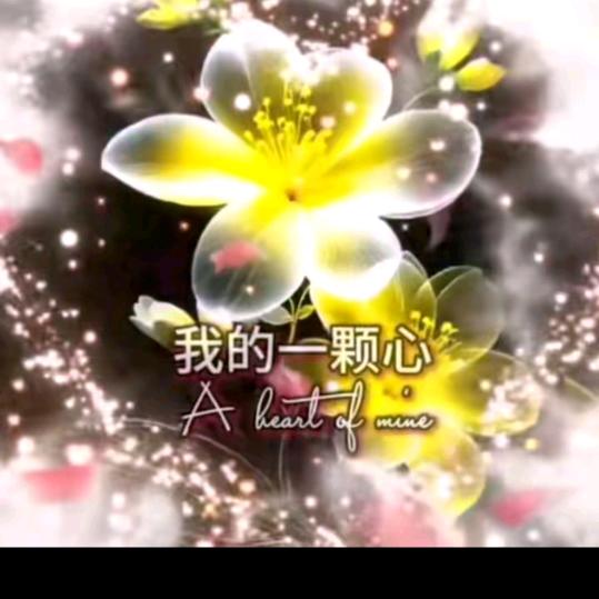 ❤️遇见🌸你真🌸好❤️