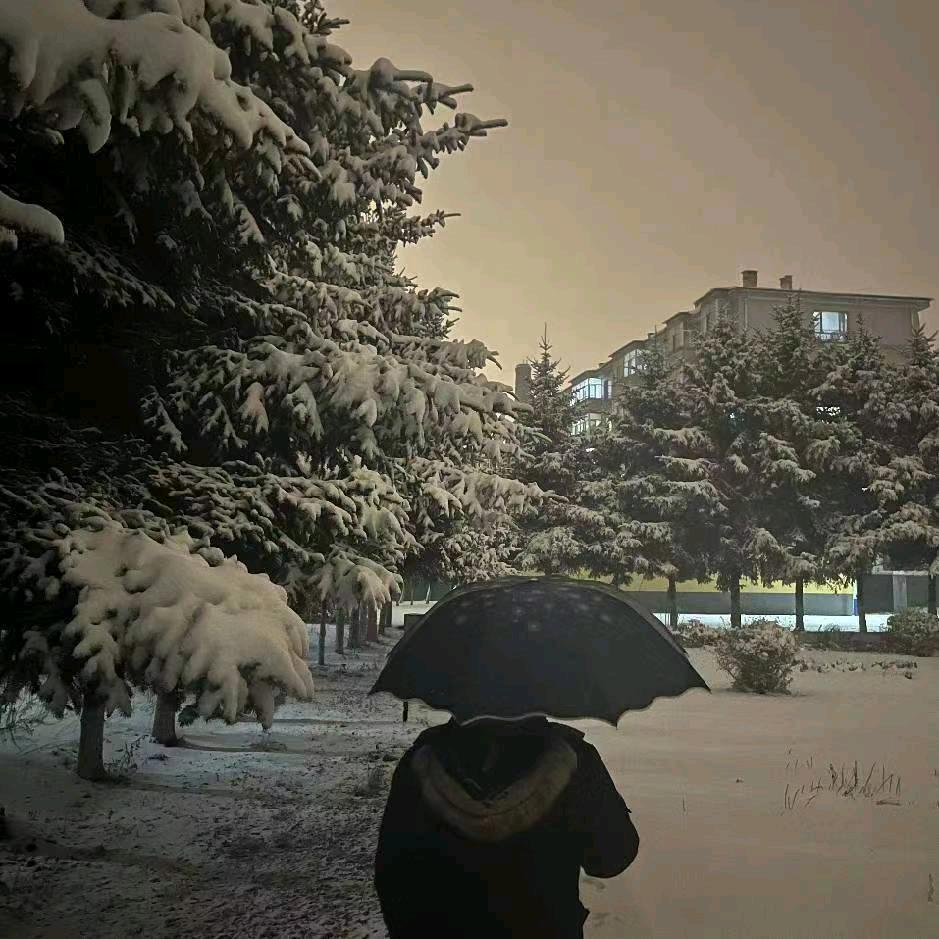 等⁰号球衣转身
