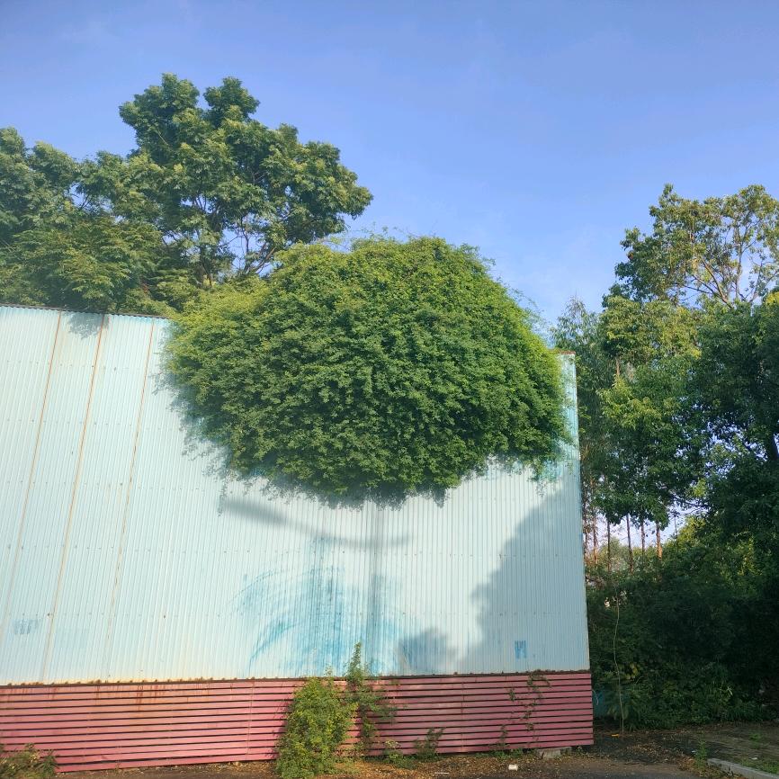 一路上有你(๑><๑）