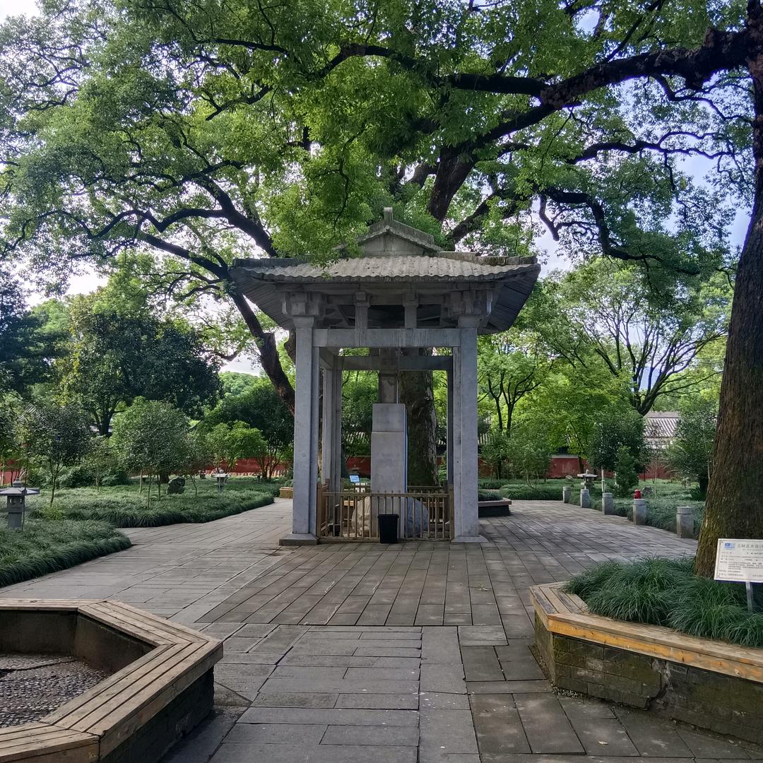 思维成就愿望