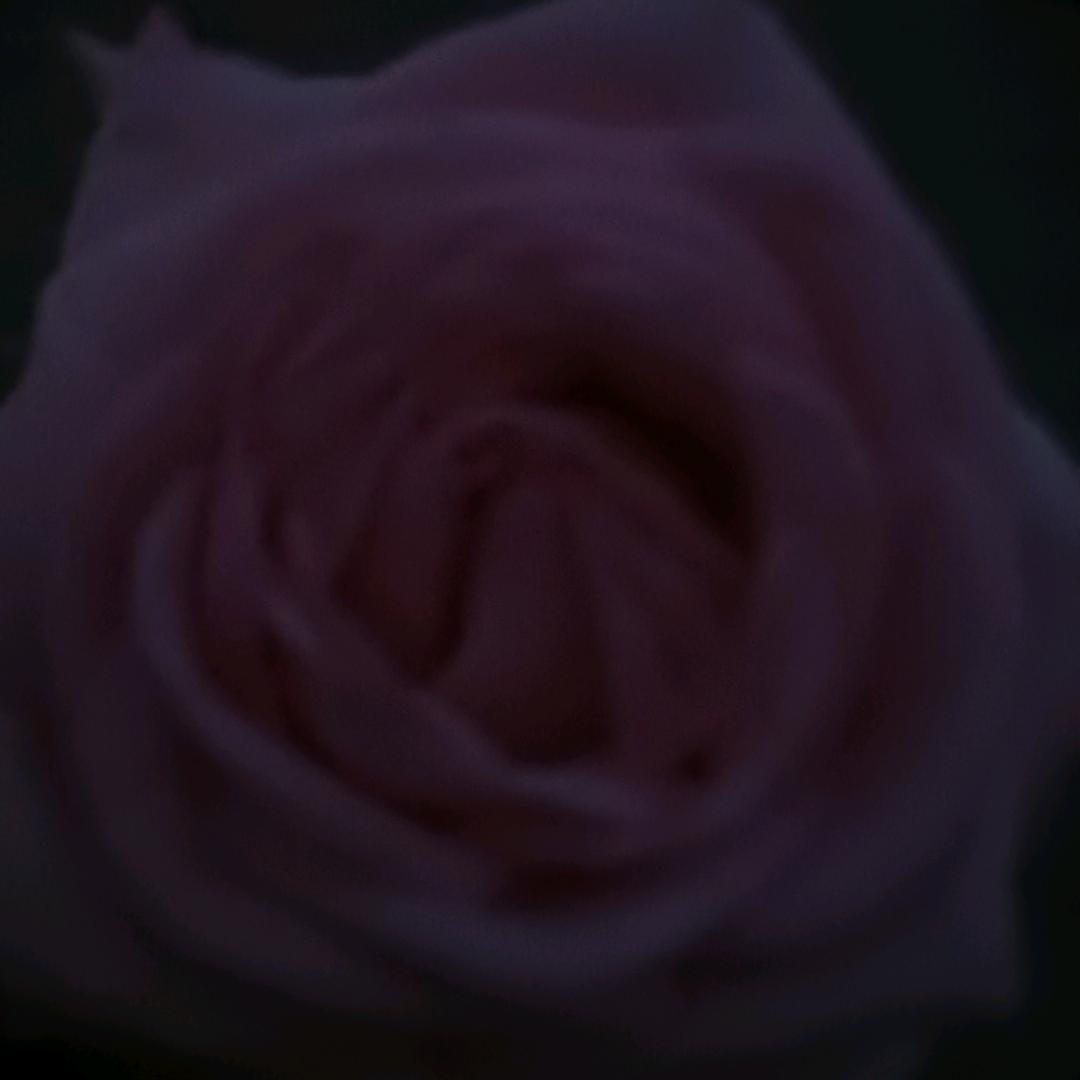 再苦再累己要走下去