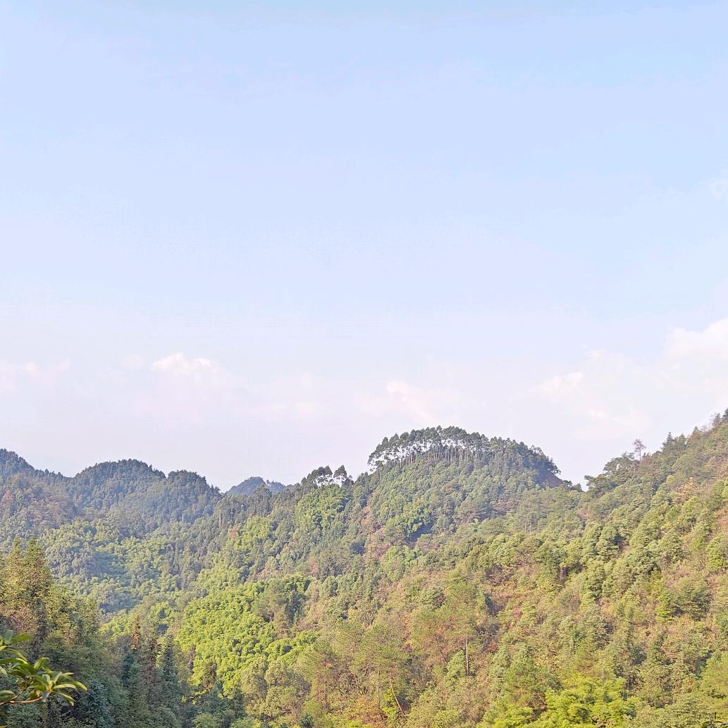 沈阳市和平区乐聚欢百货店