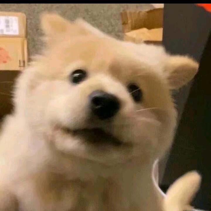 遇安