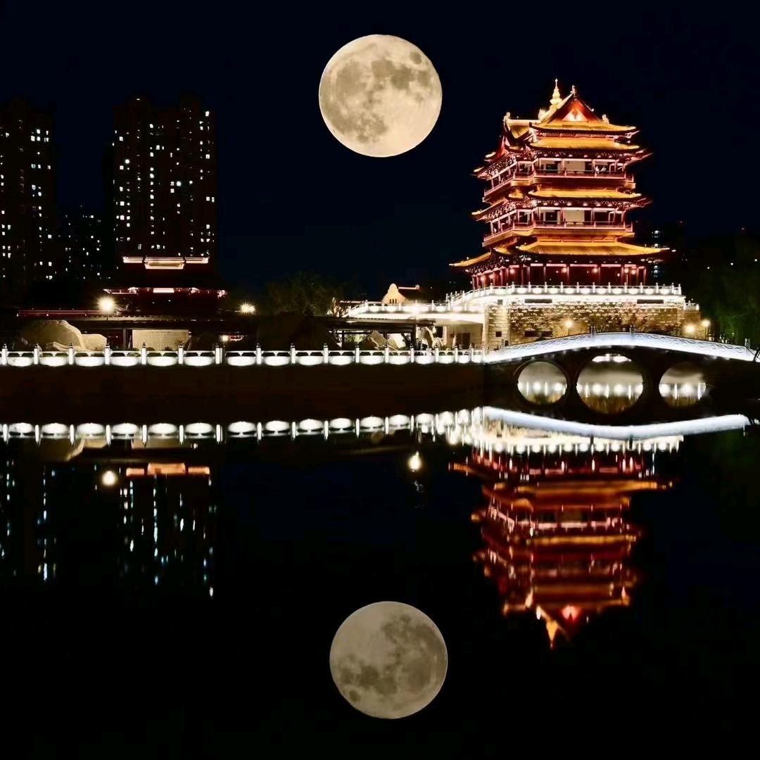 煙草啲菋檤