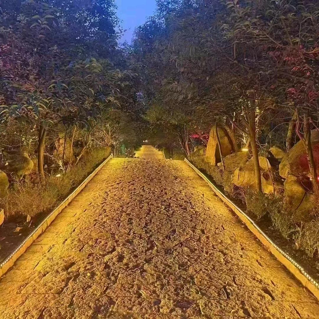 三雄极光 涂鸦智能