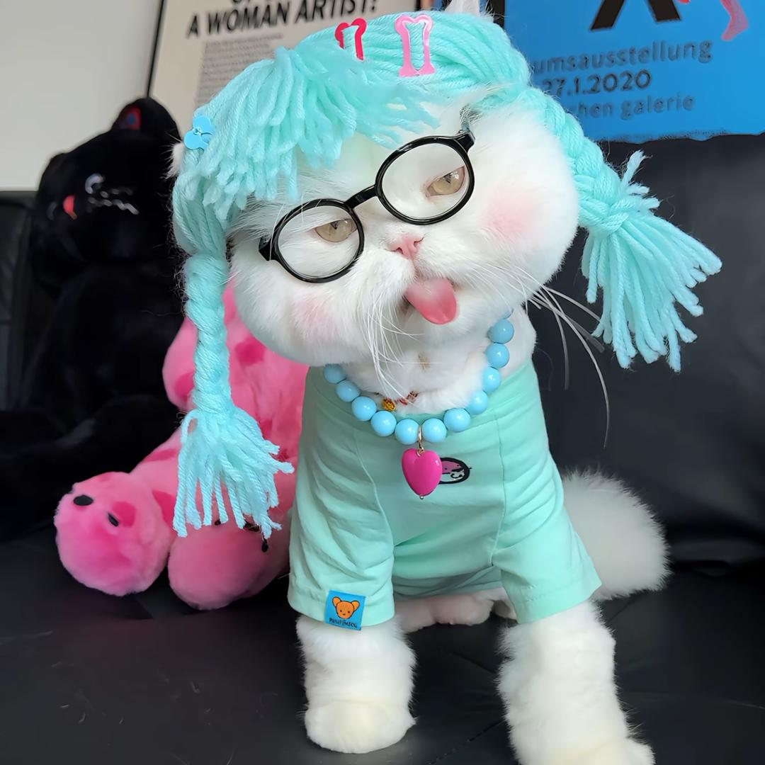 🌈肥胖的小瘦子