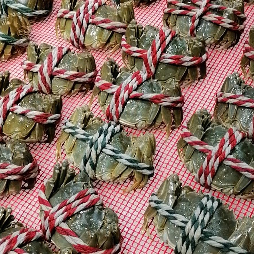 共创生活李姐小号