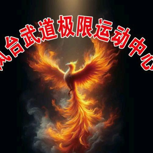凤台武道极限运动中心官方号